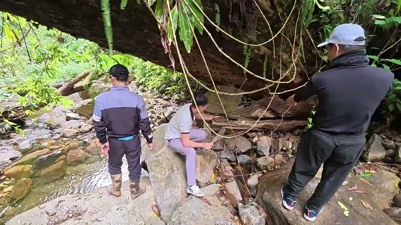 Trải nghiệm bữa trưa trên rừng