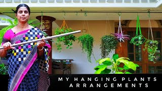 My Hanging Plants Arrangements | ഹാങ്ങിങ് പ്ലാന്റ്സ് എളുപ്പത്തിൽ തൂക്കാം | Indoor Plants(Malayalam)
