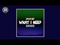 Budda BJ x Deepside - What I Need Remix