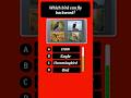 Which Bird Flies Backward? #QuizShorts#learningshorts