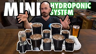 Miniature 3D Printed Hydroponic System