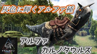 Mod 鈍く輝く灰色のアルファ種 アルファ カルノタウルス を再びテイム Annunaki Genesis Ark Survival Evolved Ark The Center Youtube