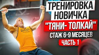 Тренировка новичка "Тяни-Толкай". Стаж 6-9 месяцев. Часть 1.