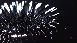 HKMU_PHTO_Ferrofluid
