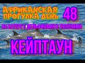 48деньАФРИКАНСКОЙ прогулки На катере Дельфины Тюлени