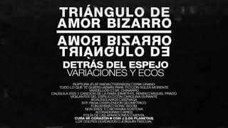 Video thumbnail of "Triángulo de Amor Bizarro ■ Cura mi Corazón ■ con J (Los Planetas)"