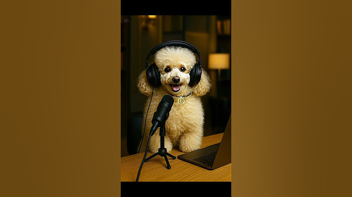 Pod Dog Cast Show 02 - Episode 02 - Miss Lili