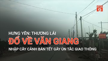 HƯNG YÊN: THƯƠNG LÁI ĐỔ VỀ VĂN GIANG NHẬP CÂY CẢNH BÁN TẾT GÂY ÙN TẮC GIAO THÔNG | VTC9