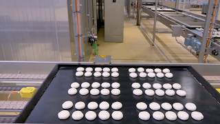 Automated bakery  bun production line