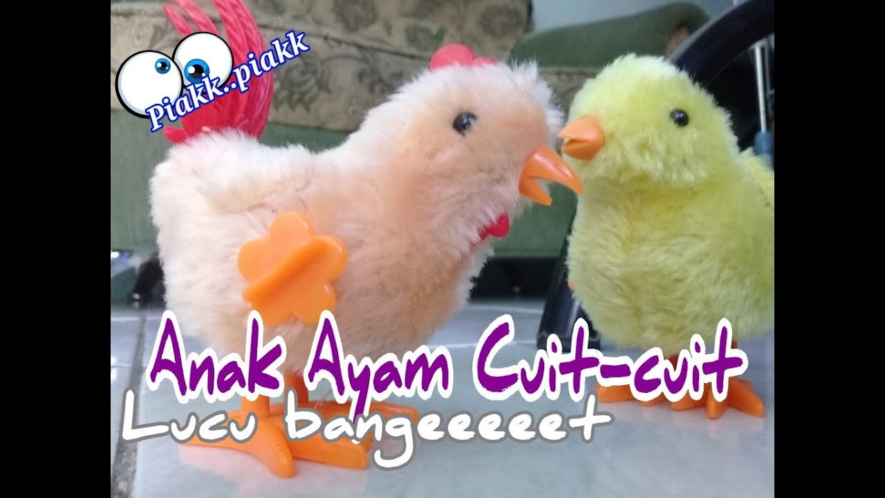 Ini Dia Mainan Anak2 Terbaru Ayam Berkokok Lucu YouTube