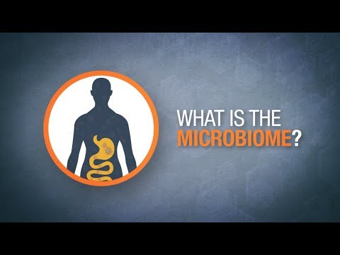 Video: Mikrobiota Gut, Asid Lemak Rantaian Pendek, Dan Obesiti Merentasi Peralihan Epidemiologi: Protokol Kajian METS-Microbiome