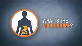 What is the microbiome? | Herbalife Nutrition