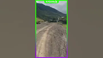Козел зацепился рогами за провода