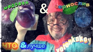 ,,Чернослив" мацерат сливового ( винного) жмыха