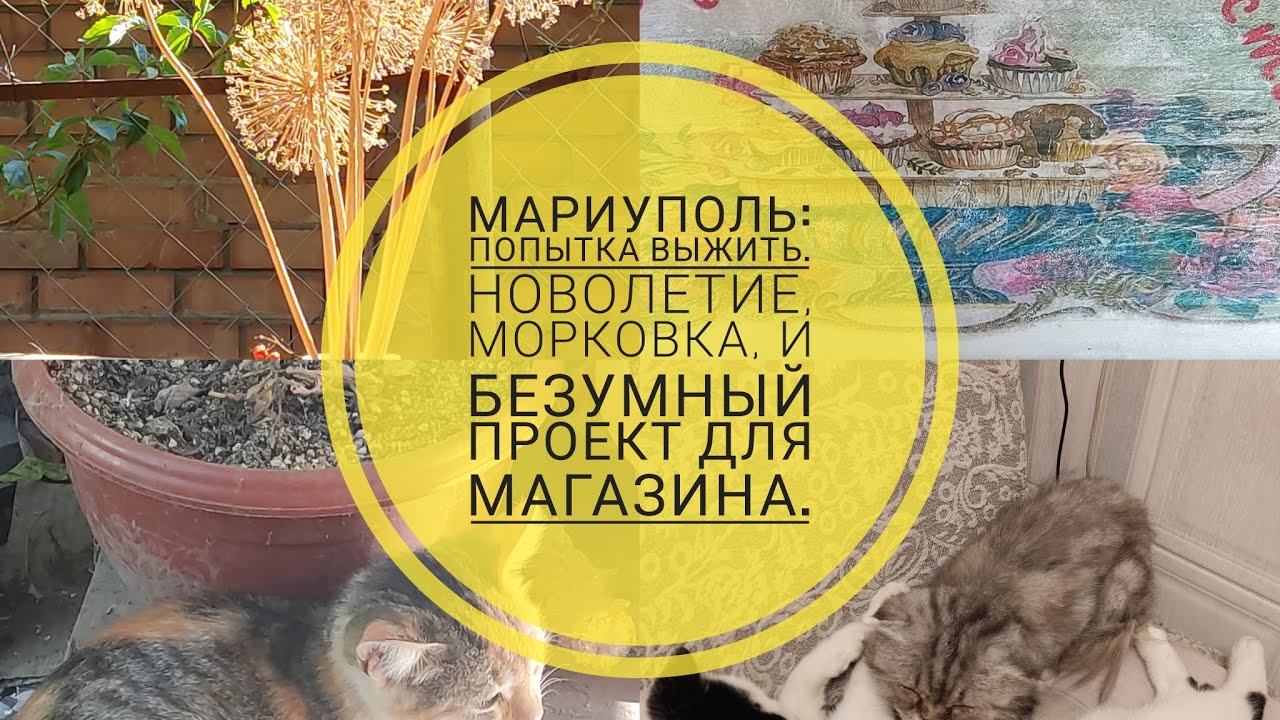 Мы выжили в мариуполе