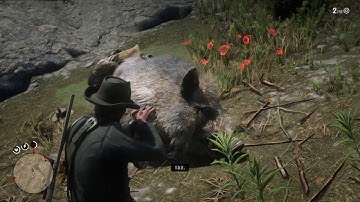 Red Dead Redemption 2- Falling Through Map