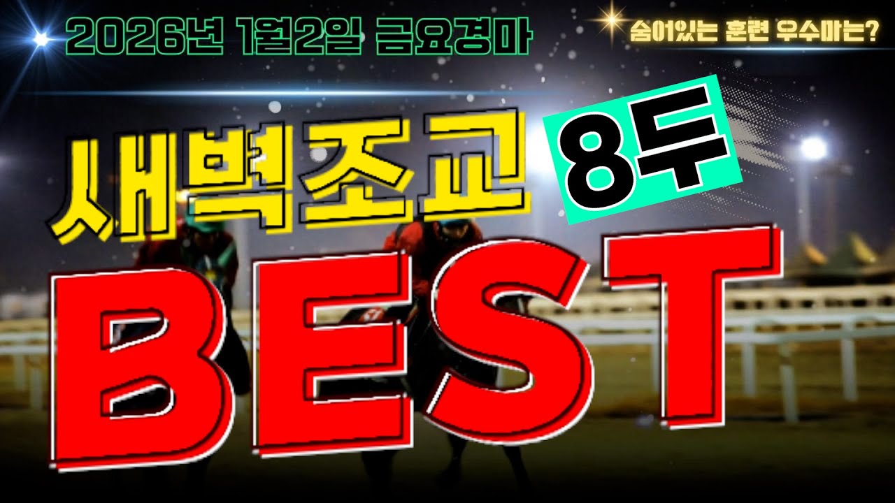 [굽소리경마] 2026년 첫 경마일!! 기분좋은 출발을 알릴 준비잘된  훈련우수마 8두!!#새벽조교#2026년 첫 경마#부산조교우수마#굽소리경마