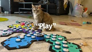 Play Pets | BilliSpeaks