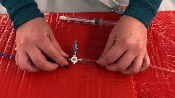 Flushing your drain 101