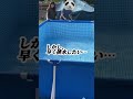バキッ…やってしまった