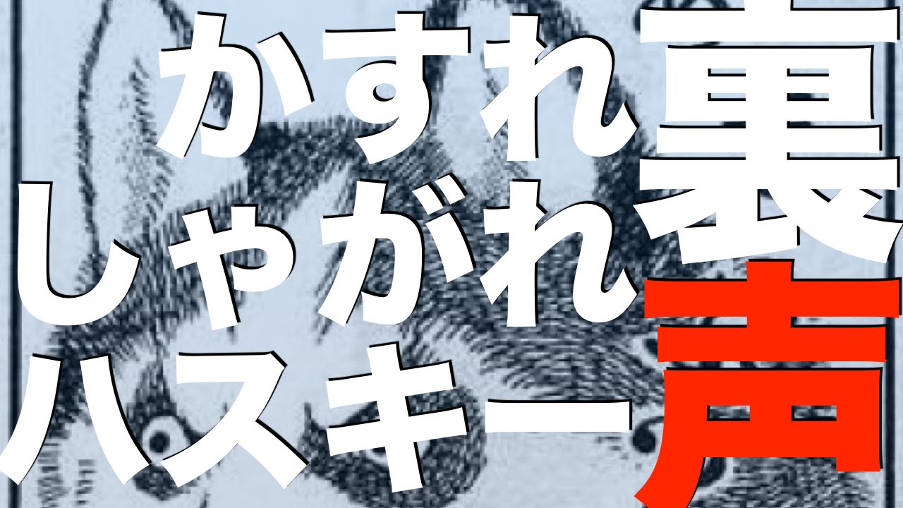 ハスキーな声 しゃがれた声 かすれ声 裏声と息の関係って 声が変われば人生が変わる ハスキーな声 しゃがれた声 かすれ声 裏声と息の関係って 声が変われば人生が変わる
