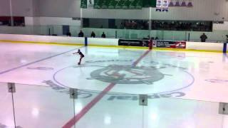 2011 Ice Vault Basic Skills Figure Skating Competition
