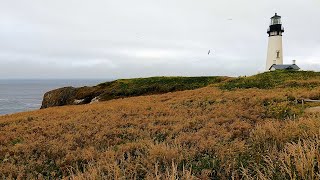 Oregon Coast 2 - Central Coast