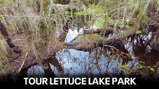 Take a tour of Lettuce Lake Park