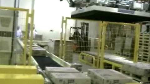 Robotic Palletizing Cell - Roboris