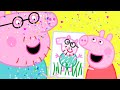 Peppa Pig Official Channel | Happy Father's Day to Daddy Pig!