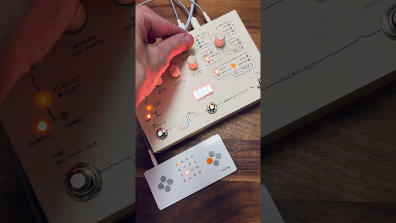 DTM・DAW nanoloop q Nanoloop q [Standalone] - Other Gear