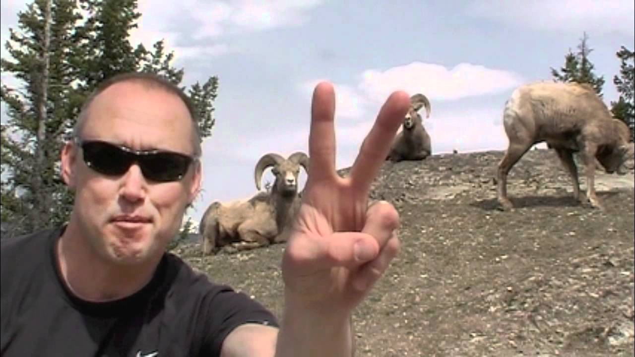 Jasper National Park, Alberta Canada. Welcome to the Jasper Tour Company!