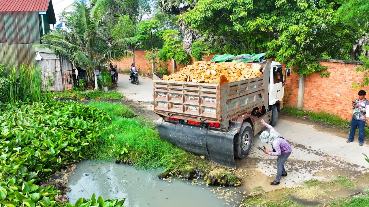 incredible landfill delete water project ,bulldozer push soil stone , truck 5Ton transport soil