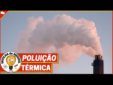 Vídeo: O que é poluição térmica?
