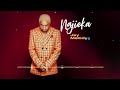 Jay Melody - Najieka (Official Audio)