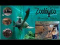 Visitando el Zoológico de Morelia, Michoacán - Rincones de México