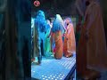 शादी के सीजन का सबसे वायरल डांस: 🥰❤️💃👌🤦‍♂️#TrendingReels, #DanceCover,  #ViralDance #dance #viral