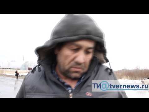 Водитель маршрутки №