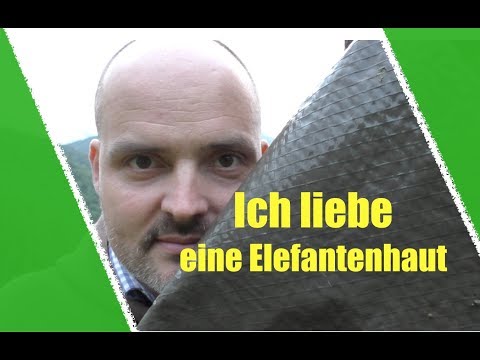 Ja, ich liebe eine Elefantenhaut