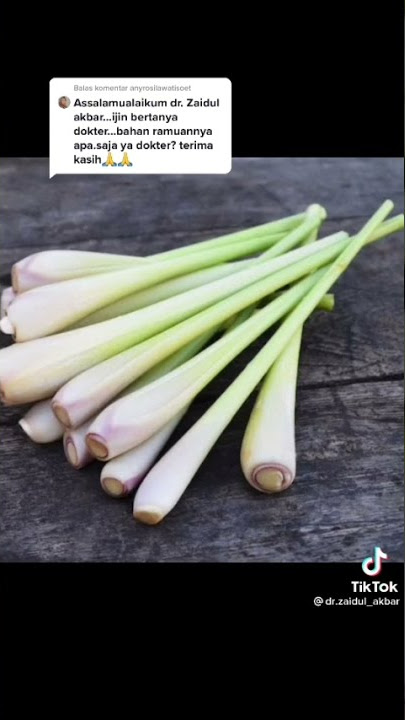 obat herbal penyakit gula