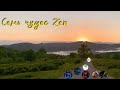 #знакомство с чайным проектом Zen tea | Премиальный сочинский чай