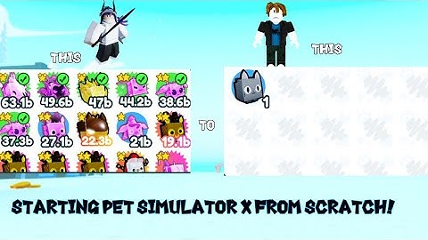 STARTING PET SIMULATOR X FROM SCRATCH! (Part 1)