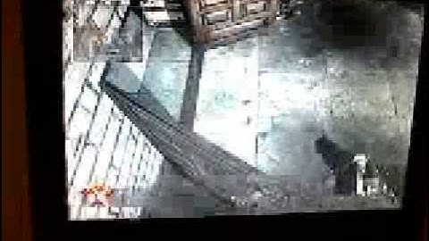 cod5 Asylum glitch by ps3pencil