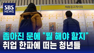 좁아진 문에 '뭘 해야 할지'…취업 한파에 떠는 청년들 / SBS