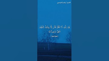 سورة هود ( ١٠٣ - ١٠٧) / ياسر الدوسري
