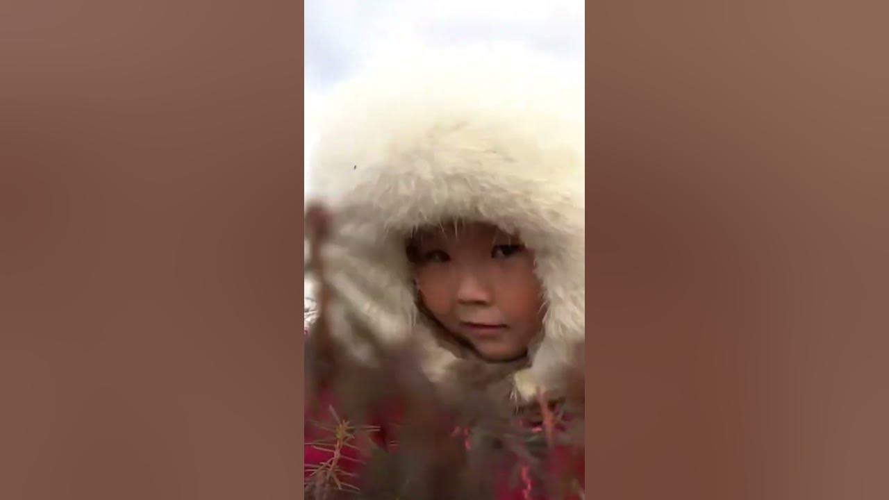 Фильм Ямал тундра