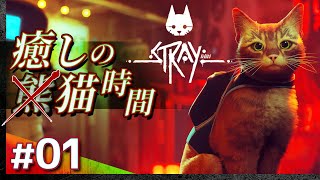 #01【初見攻略】STRAY／癒しの(熊)猫時間【ストレイ】【髭熊猫】