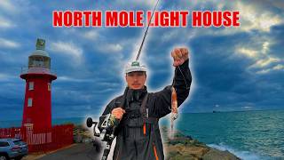 North Mole SNAPPER Fishing In A STORM?! How Hard Can It Be? - Fishing In Fremantle