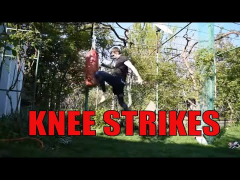 მუხლით დარტყმები (knee strikes)