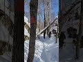 Winter Hikes in the Kingston Area